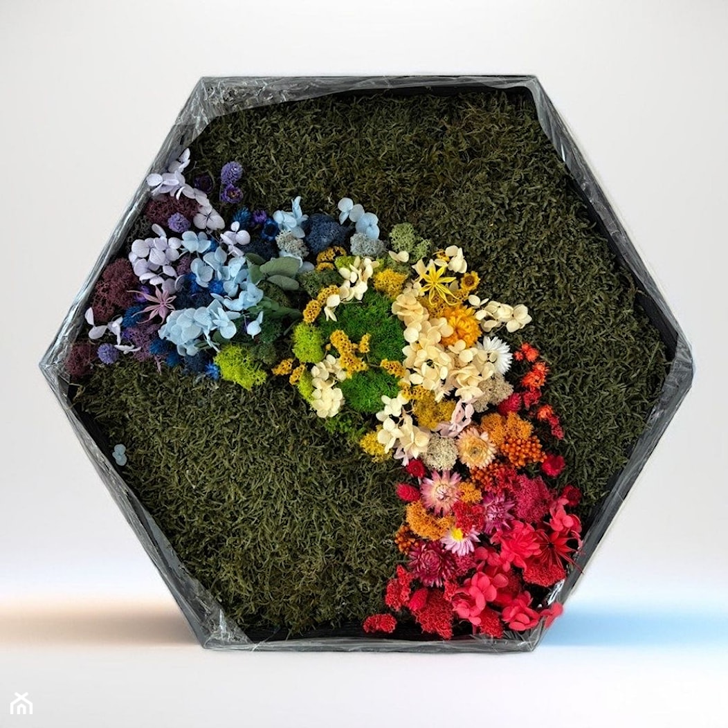Obraz heksagonalny, heksagon z naturalnym mchem i kwiatami stabilizowanymi i suszonymi - zdjęcie od NORDMOSS - Homebook