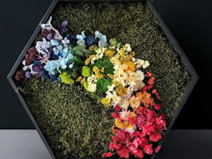 Obraz heksagonalny, heksagon z naturalnym mchem i kwiatami stabilizowanymi i suszonymi - zdjęcie od NORDMOSS