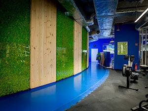 Panele z mchu, zielona ściana z chrobotkiem reniferowyn - zdjęcie od NORDMOSS