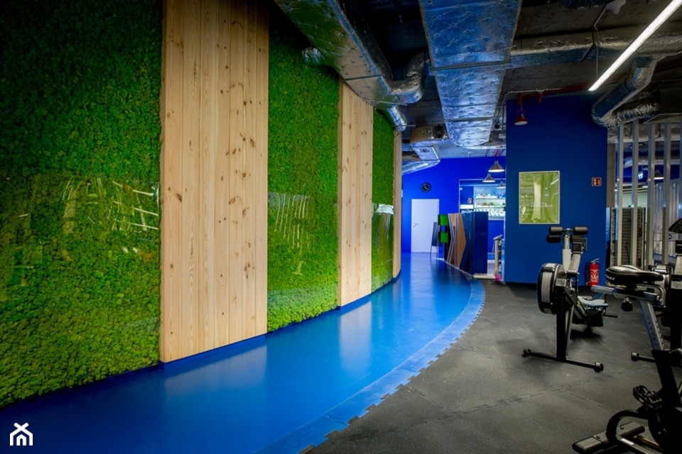 Panele z mchu, zielona ściana z chrobotkiem reniferowyn - zdjęcie od NORDMOSS - Homebook