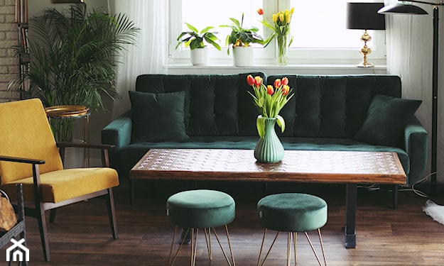 salon z zieloną kanapą