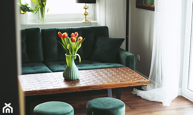 salon z zieloną kanapą