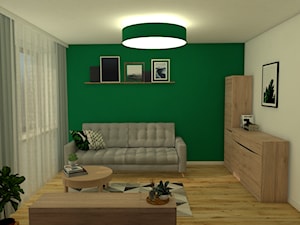 Pokój gościnny - Zielona Żabka - Średni szary zielony salon, styl tradycyjny - zdjęcie od gmcspace