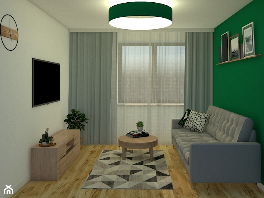 Pokój gościnny - Zielona Żabka - Mały szary zielony salon, styl tradycyjny - zdjęcie od gmcspace