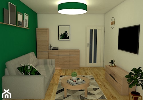 Pokój gościnny - Zielona Żabka - Mały biały zielony salon, styl tradycyjny - zdjęcie od gmcspace