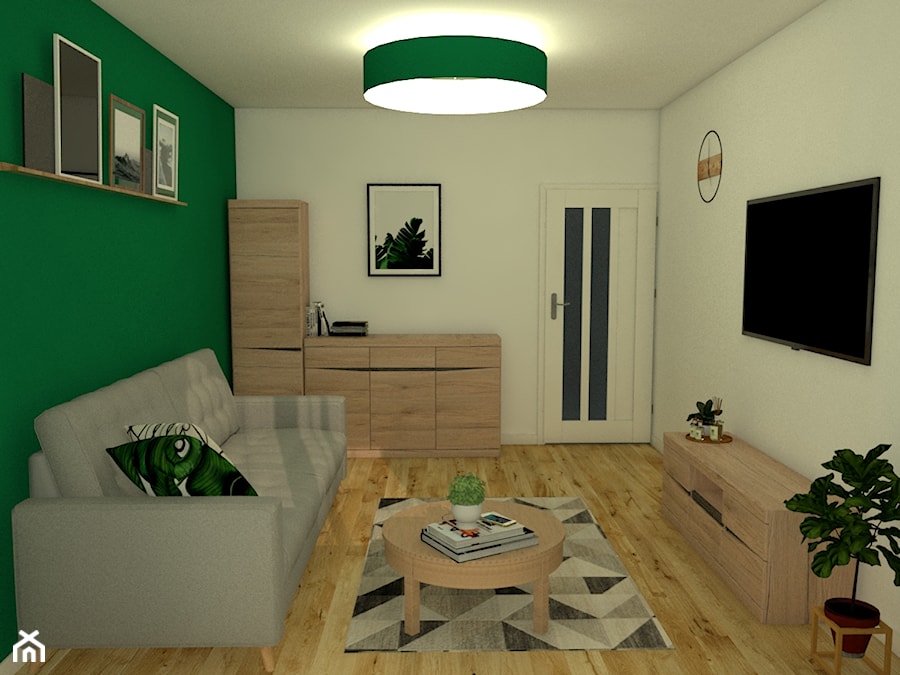 Pokój gościnny - Zielona Żabka - Mały biały zielony salon, styl tradycyjny - zdjęcie od gmcspace
