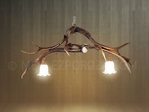 Żyrandol z poroża jelenia - zdjęcie od HornArt - Meble z poroża