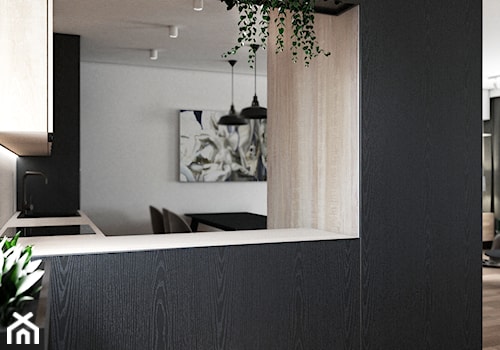 Salon z otwarta kuchnią - Kuchnia, styl nowoczesny - zdjęcie od heintze concept