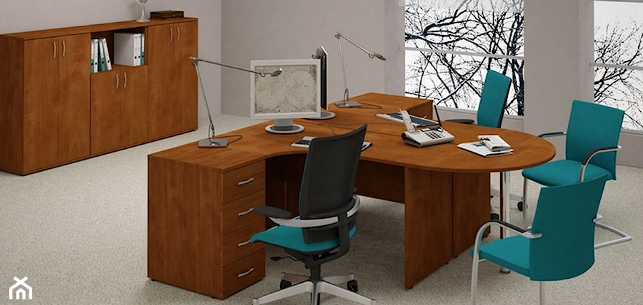Biuro, styl tradycyjny - zdjęcie od B2B Partner