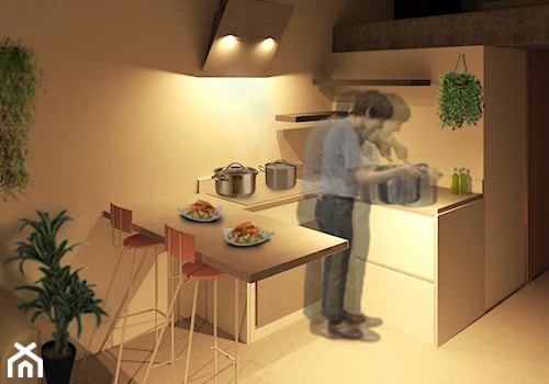 Plant-in - Mała otwarta z salonem z kamiennym blatem szara z zabudowaną lodówką kuchnia w kształcie litery u, styl minimalistyczny - zdjęcie od anlawecka