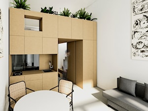 Mieszkanie 25 m² – znana meblościanka w nowej odsłonie