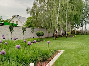 Ogród wśród brzóz - zdjęcie od Elfir Studio Projektowania Terenów Zieleni