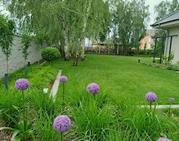 Ogród wśród brzóz - zdjęcie od Elfir Studio Projektowania Terenów Zieleni - Homebook