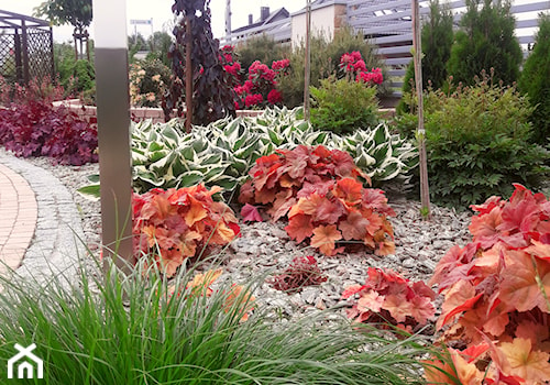 kolorowy ogród - zdjęcie od Elfir Studio Projektowania Terenów Zieleni