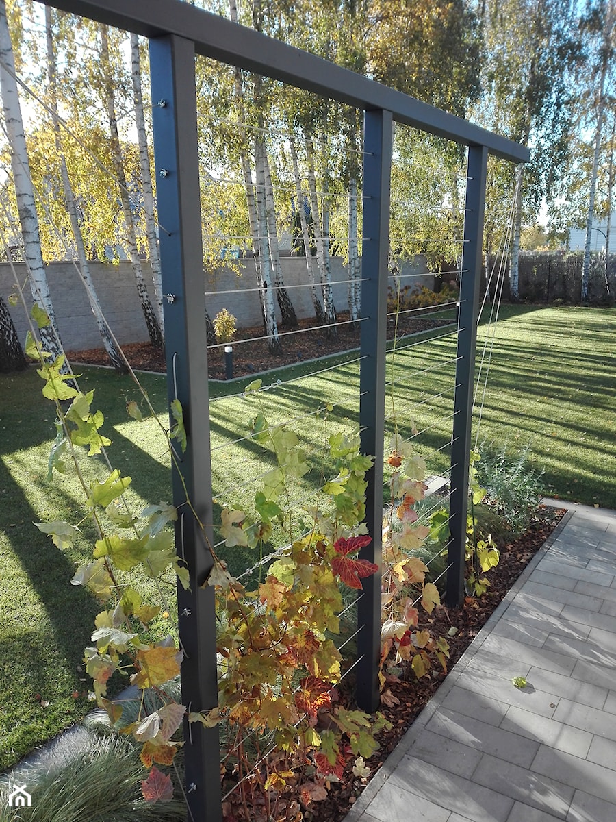 Ogród wśród brzóz - zdjęcie od Elfir Studio Projektowania Terenów Zieleni