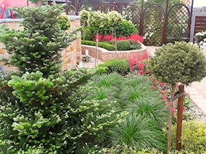 Kolorowy ogród - zdjęcie od Elfir Studio Projektowania Terenów Zieleni