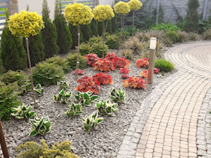 kolorowy ogród - zdjęcie od Elfir Studio Projektowania Terenów Zieleni