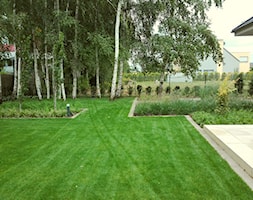 ogród wśród brzóz - zdjęcie od Elfir Studio Projektowania Terenów Zieleni - Homebook