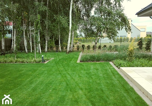 ogród wśród brzóz - zdjęcie od Elfir Studio Projektowania Terenów Zieleni