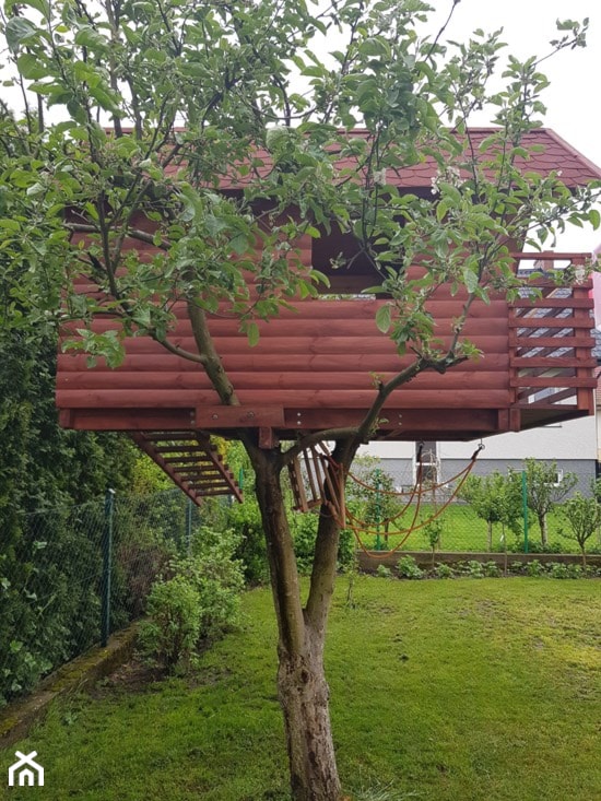 Dziadkowy super ogród - Ogród, styl tradycyjny - zdjęcie od Aniamg - Homebook