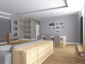 Minimalistyczny salon z otwartą jadalnią szara ścianka półki z g-k na ścianie TV i w holu - zdjęcie od Monika Hardej Architekt