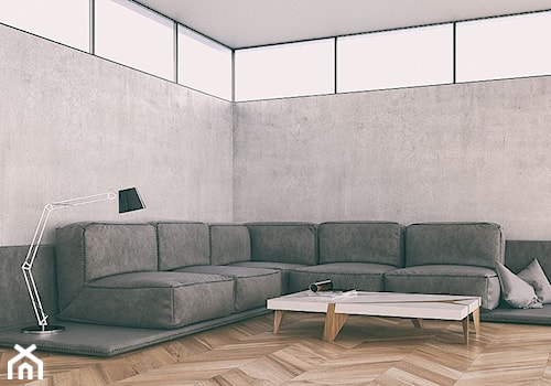 Styl Minimalistyczny - Średni szary salon, styl minimalistyczny - zdjęcie od ITALSENSO