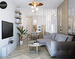 Projekt mieszkania w Poznaniu w jasnych barwach - Salon, styl nowoczesny - zdjęcie od Echaust Design - Studio Projektowania Wnętrz - Homebook