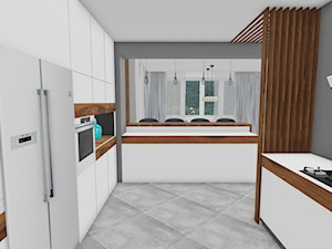Dom jednorodzinny - koncepcje - Kuchnia - zdjęcie od haba projekty