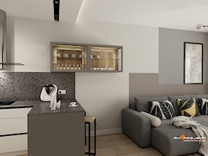 Projekt mieszkania Nowy Dwór Mazowiecki - Salon, styl skandynawski - zdjęcie od Mysprojekt Marek Myszkowski