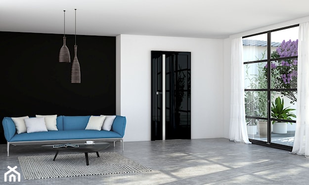 salon minimalistyczny, nowoczesny salon, czarne drzwi