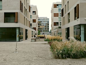 area 19, jesienna aura - Wnętrza publiczne, styl minimalistyczny - zdjęcie od totalwhitephoto