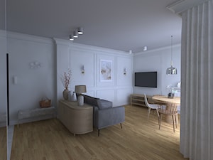 mieszkanie styl nowoczesny/francuski - Salon, styl nowoczesny - zdjęcie od mcstudio Projektowanie wnętrz