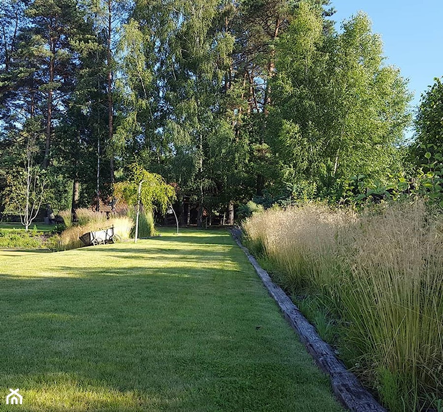 Trawy ozdobne - zdjęcie od Mazurskie Ogrody