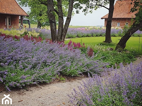 Aranżacje wnętrz - Ogród: Ogród w lipcu - Mazurskie Ogrody. Przeglądaj, dodawaj i zapisuj najlepsze zdjęcia, pomysły i inspiracje designerskie. W bazie mamy już prawie milion fotografii!