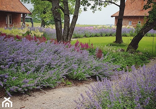 Ogród w lipcu - zdjęcie od Mazurskie Ogrody