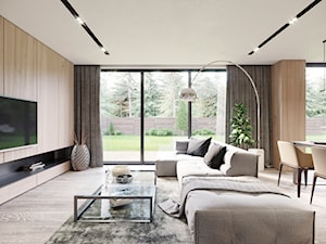 DOM W BARANOWIE - Salon, styl nowoczesny - zdjęcie od JD Architects