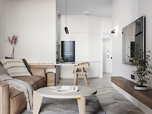 Projekt mieszkania 62 m2 - Salon, styl nowoczesny - zdjęcie od SHAFIEVA DESIGN