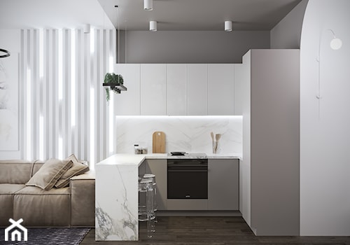 Projekt mieszkania 36m2 - Mała otwarta z salonem biała szara z zabudowaną lodówką kuchnia w kształcie litery u, styl nowoczesny - zdjęcie od SHAFIEVA DESIGN