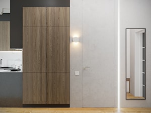 Projekt mieszkania 44m2 - Hol / przedpokój, styl nowoczesny - zdjęcie od SHAFIEVA DESIGN