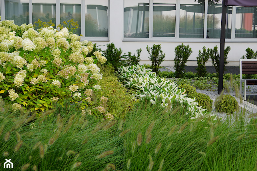 Atrium w biurowcu - Ogród, styl nowoczesny - zdjęcie od TRAWARICA