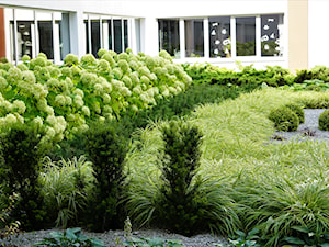 Atrium w biurowcu - Ogród, styl nowoczesny - zdjęcie od TRAWARICA