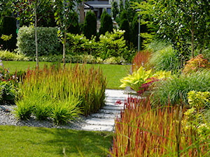 Ogród traw - Ogród, styl nowoczesny - zdjęcie od TRAWARICA