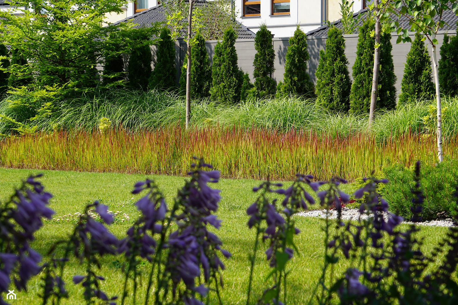 Ogród traw - Ogród, styl nowoczesny - zdjęcie od TRAWARICA - Homebook