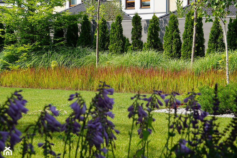 Ogród traw - Ogród, styl nowoczesny - zdjęcie od TRAWARICA