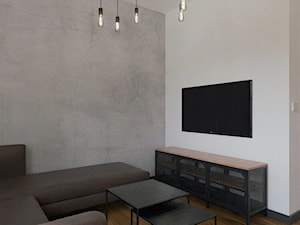 Salon w stylu industrialnym / loftowym - zdjęcie od Holi Home
