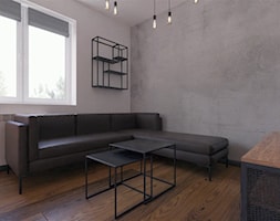 Salon w stylu industrialnym / loftowym - zdjęcie od Holi Home - Homebook