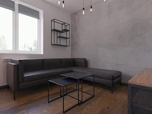 Salon w stylu industrialnym / loftowym - zdjęcie od Holi Home