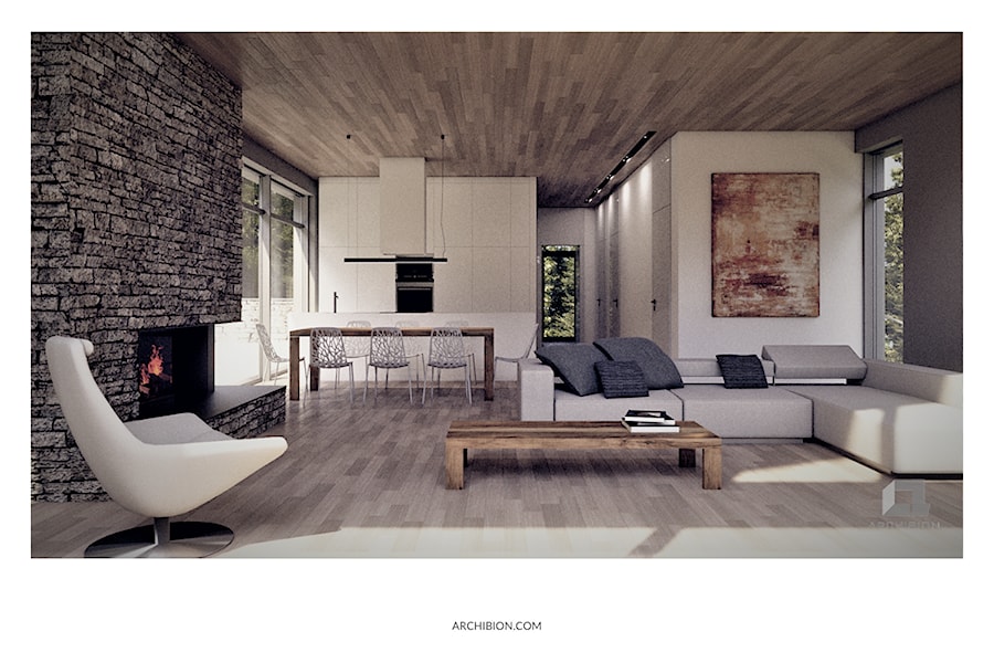 Dom jednorodzinny typu nowoczesna stodoła - Salon, styl nowoczesny - zdjęcie od Archibion Pracownia Projektowa Krzysztof Czerwiński