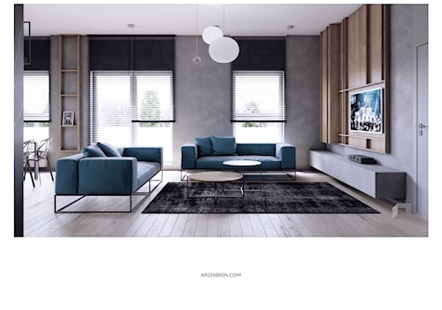 Wnętrze mieszkalne Toruń - Salon, styl minimalistyczny - zdjęcie od Archibion Pracownia Projektowa Krzysztof Czerwiński