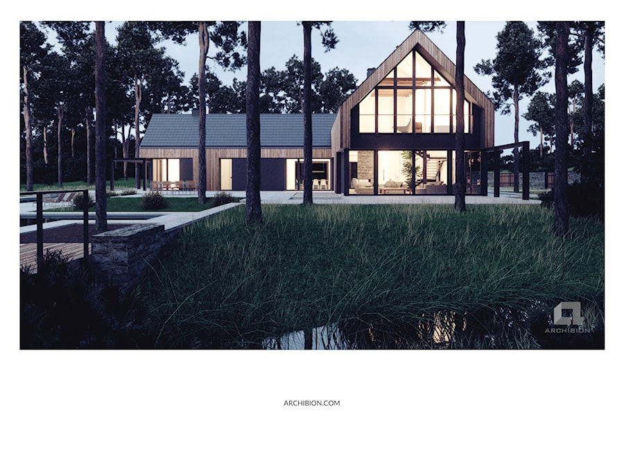 Dom w lesie - Domy, styl nowoczesny - zdjęcie od Archibion Pracownia Projektowa Krzysztof Czerwiński